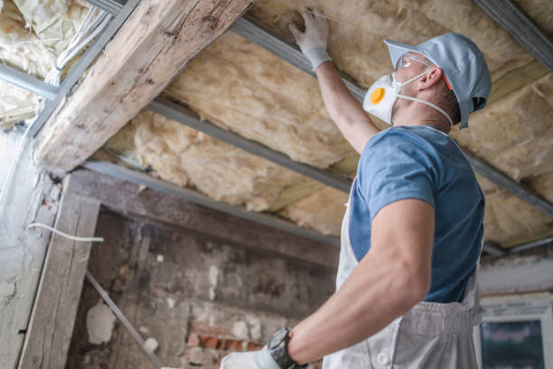 Best Insulation Removal  in Downs, IL