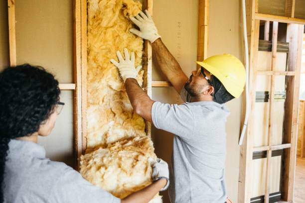 Best Attic Insulation Installation  in Downs, IL